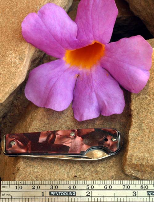 POCKET KNIFE WITH PLASTIC PATTERN LIKE pARKER cHALLENGERS.